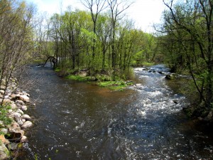 Rogue River