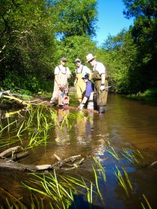 Pigeon River