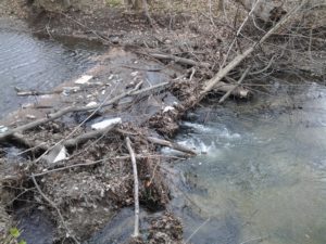 Buck Creek garbage