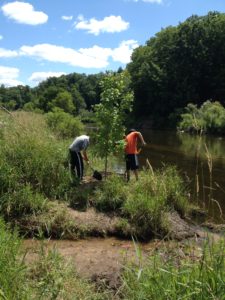 Rogue River tree planting near Childsdale.