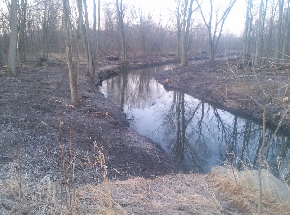 Erosion alert: Coldwater River