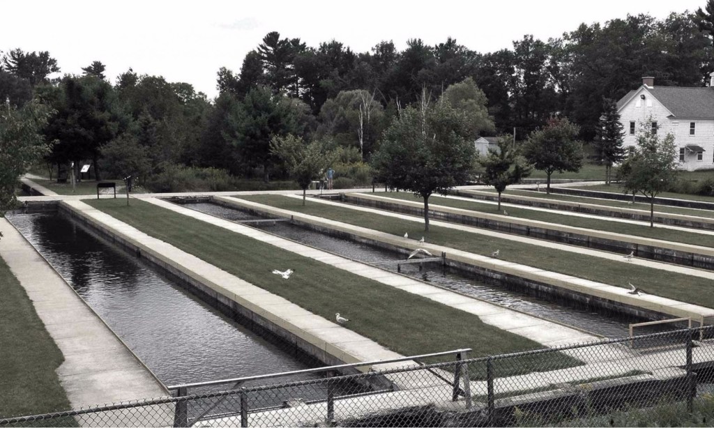 Fish Farm Litigation Update - Schrems West Michigan Trout Unlimited