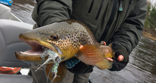 Western Rivers Trout Camp