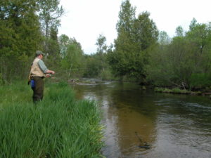 Deward Tract - Manistee River