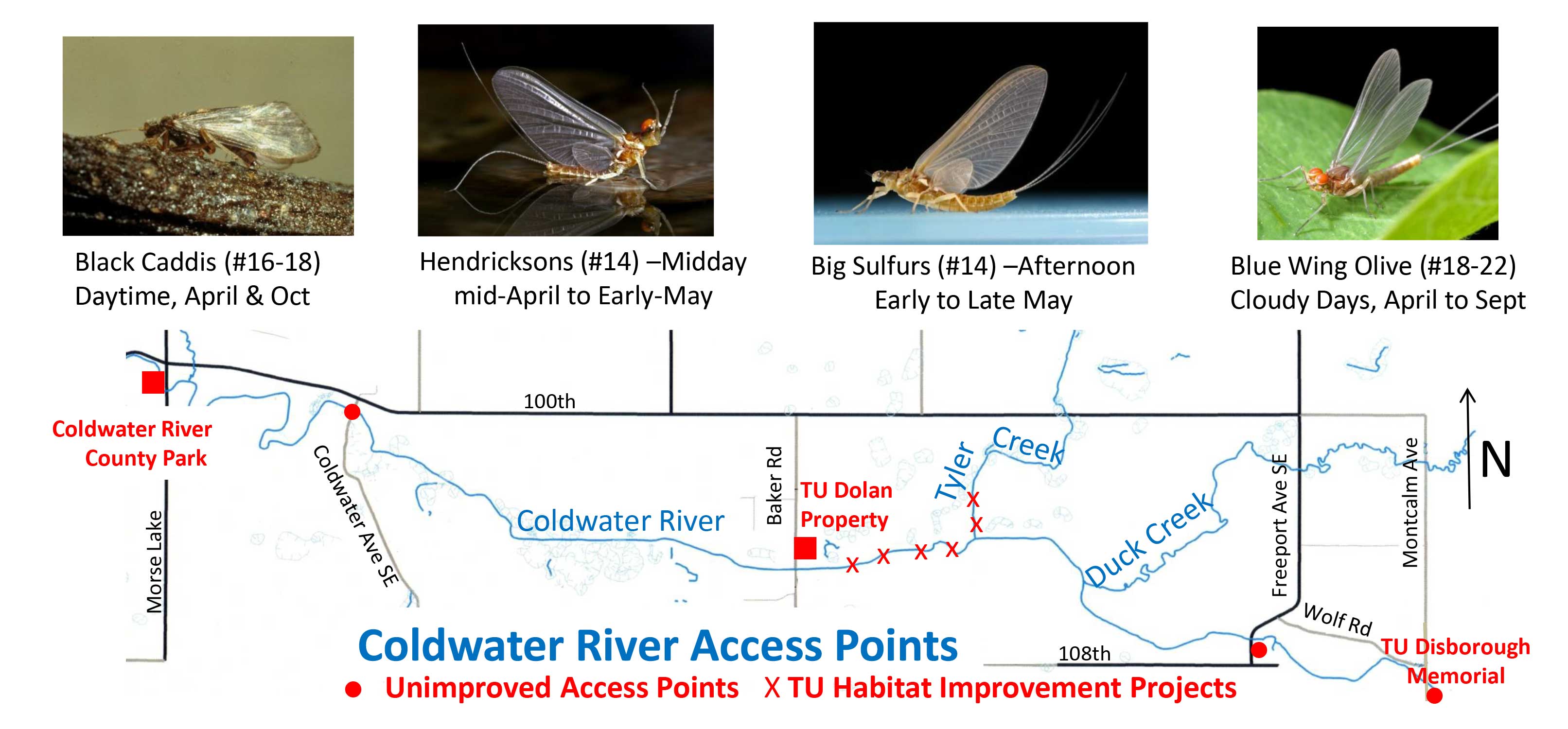 Coldwater River Map and Hatch Guide