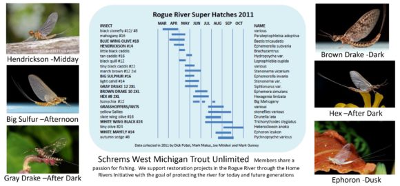 Rogue River - Schrems West Michigan Trout Unlimited