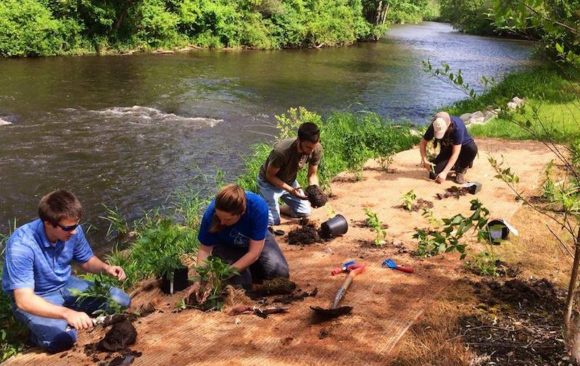 TU receives tree planting grant in Michigan’s Rogue River watershed