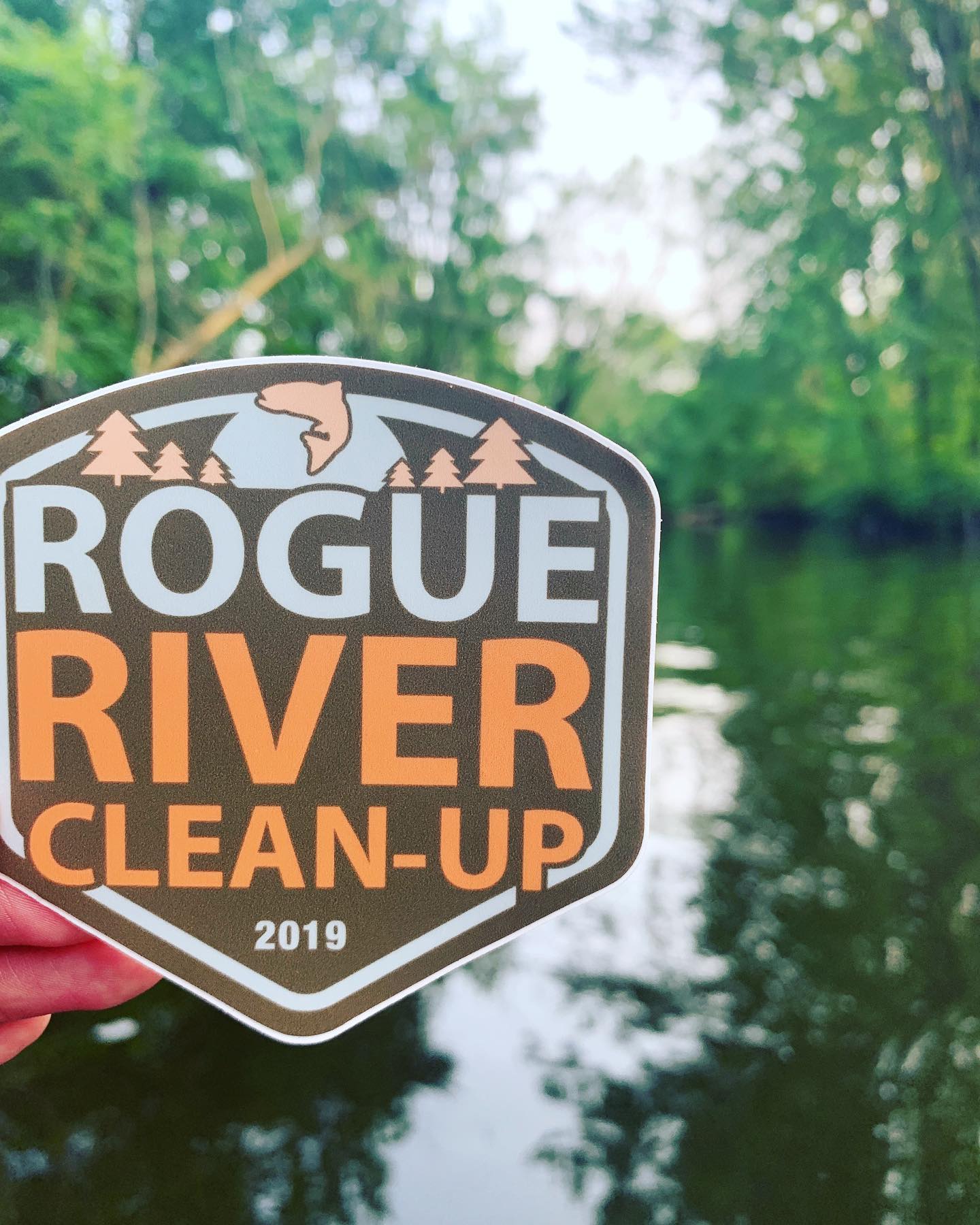 rogue-cleanup-1