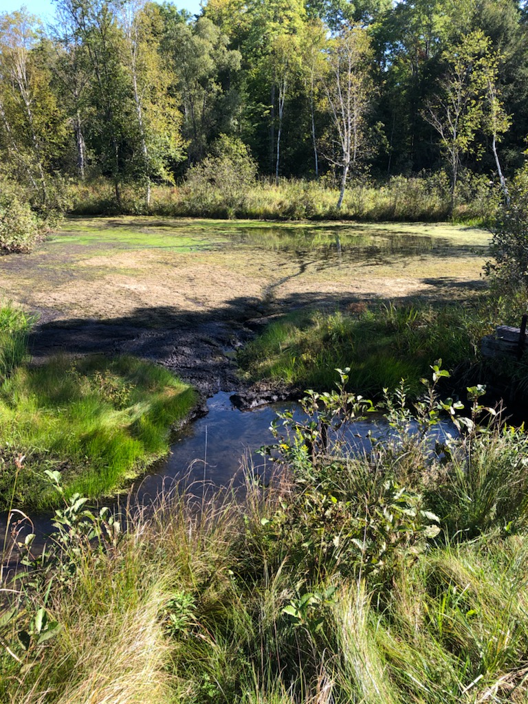 pond-draining