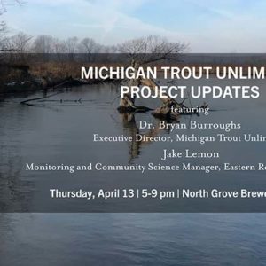 Michigan TU Project Updates