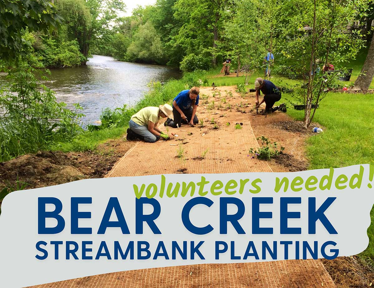 Bear Creek Streambank Planting