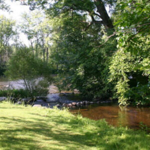 Creek Restoration