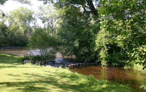 Creek Restoration