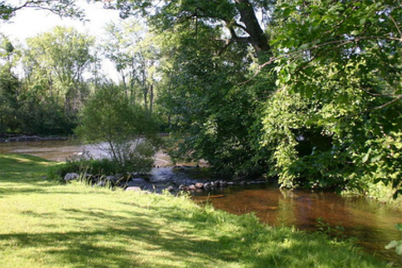 Creek Restoration