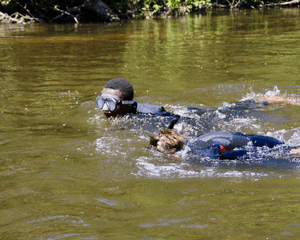 Snorkling