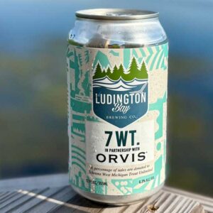 7 WT Hazy IPA can