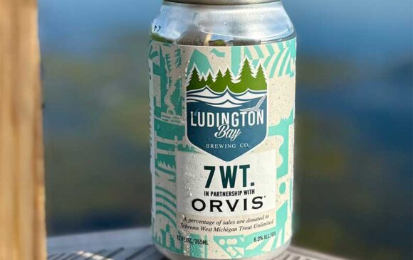 7 WT Hazy IPA can