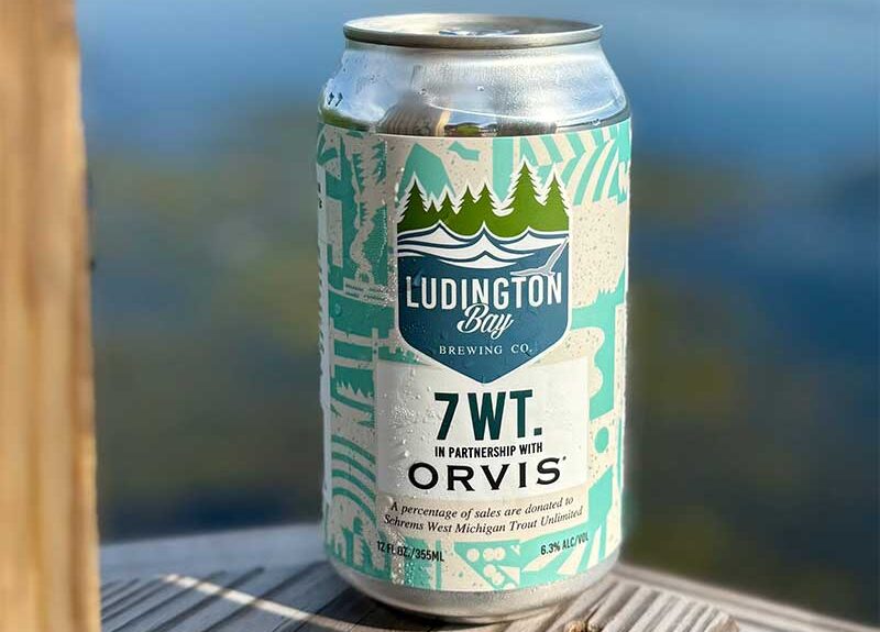 7WT-can-800 7 WT Hazy IPA can