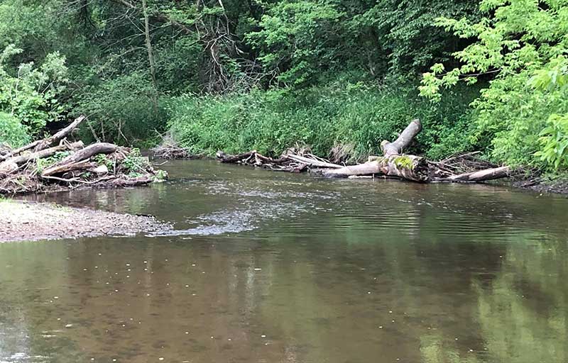 Prairie Creek